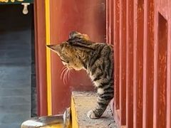 -宝通禅寺