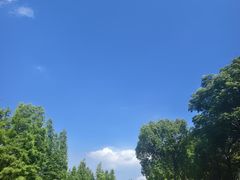 -习家池