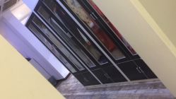 -星豆豆儿童摄影(南郊太白南路店)