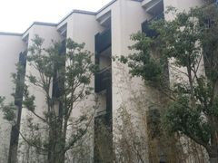 android_upload_pic-上海崇明金茂凯悦酒店