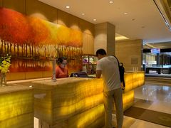 -芽庄喜来登水疗酒店