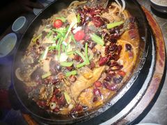 -老板恋上鱼(恒隆广场店)