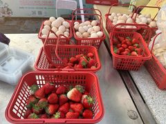 -大自然农场蔬菜草莓采摘园