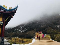 -黄龙山原始森林景区