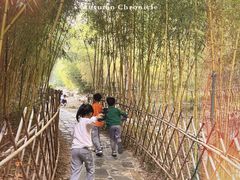 -竹子庵公园