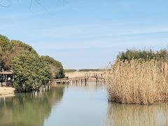 -沙家浜风景区