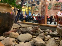 -乌记大厨餐厅