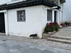 -三林塘老街