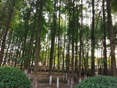 -乌镇东栅景区