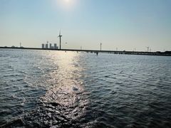 -启东黄金海滩景区