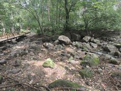 -香炉山国家森林公园
