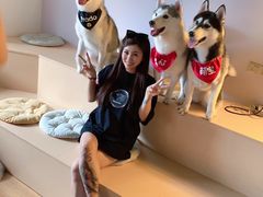 -Husky Go! 哈士奇体验馆·宠物咖啡厅狗咖