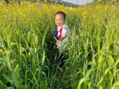 -光明小镇欢乐田园