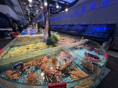 -驻海渔市(置信店)