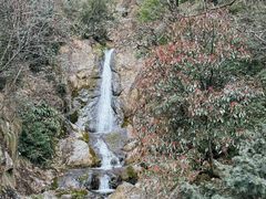 -东天目山风景区
