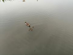 -前关湿地公园