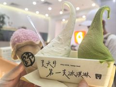 -野人先生现做冰淇淋(北京环宇荟店)