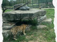 -上海野生动物园
