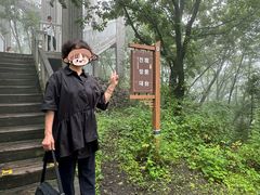 -帽儿山国家森林公园