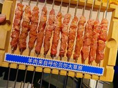-很久以前羊肉串(朝阳路店)