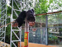 -清迈夜间动物园