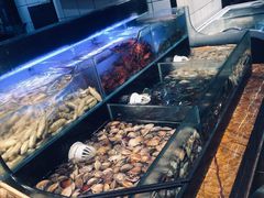 -苏格里岛自助烧烤火锅(花果园兰花广场店)