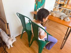 -小时光咖啡馆(开森度假森林店)