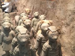 -济州岛泰迪熊博物馆