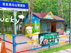 -长白山聚龙火山温泉