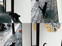 -西园寺