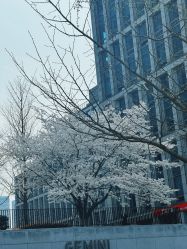 -KONSISTANT科思坦汀问题肌·科技美肤