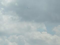 -德兴show鲜·蒸汽海鲜火锅餐厅(格创悦里店)