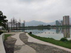 -飞来湖湿地公园