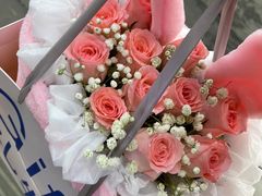 -溪岸路花鸟市场