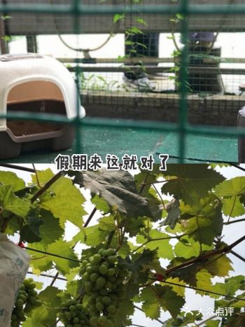 格林东庄，让你玩得开心  十一假期到来了，响应号召不