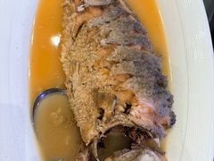 红烧黄河大鲤鱼-阿庄新豫菜(航海东路店)