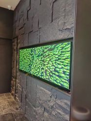 -欧兔博士·O2BOX微高压氧舱