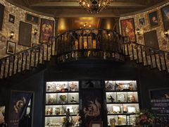 -雪灵魔法世界SHELLY’S TAROT(大良桂畔里店)