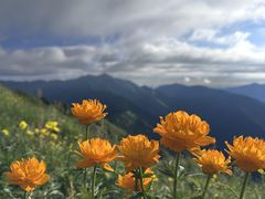 -驼梁风景区