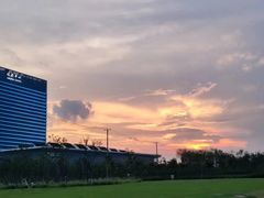 -春花秋色城市公园