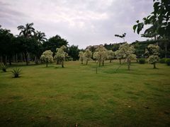-万绿园