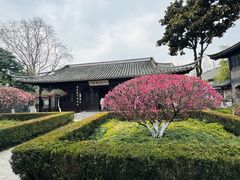 -梅园