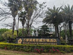 -河源万绿湖美思威尔顿酒店