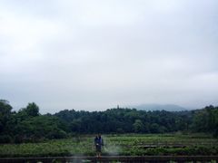 -清漾毛氏文化村