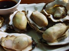 -鲁前海沿儿