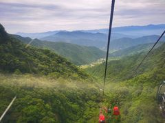 -王顺山国家森林公园