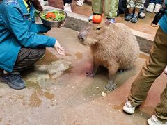 -正佳雨林生态植物园