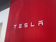 -TESLA 特斯拉(深圳观澜特斯拉直营钣喷中心)