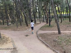 -山东大学(威海校区)