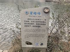 -嵖岈山风景区